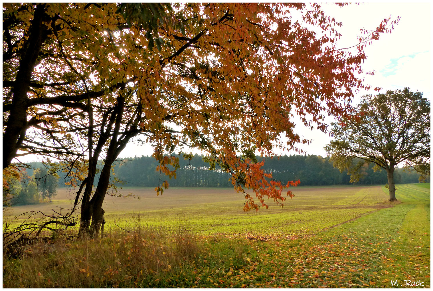 Herbstliches 123.