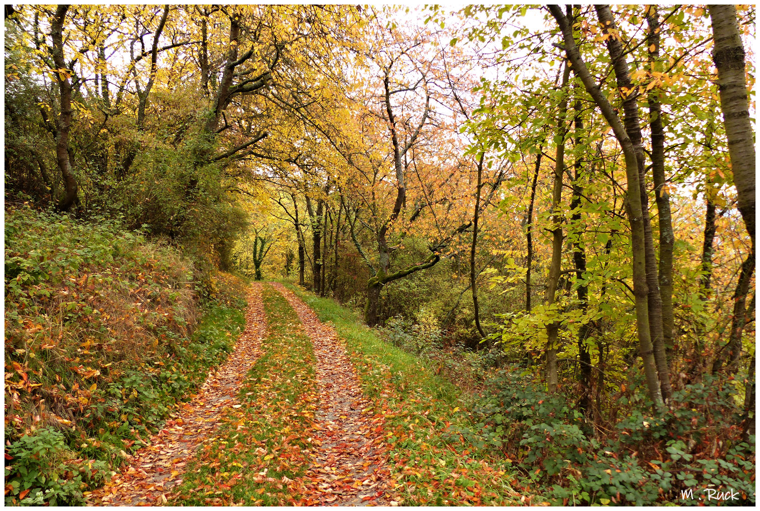 Herbstliches 126.