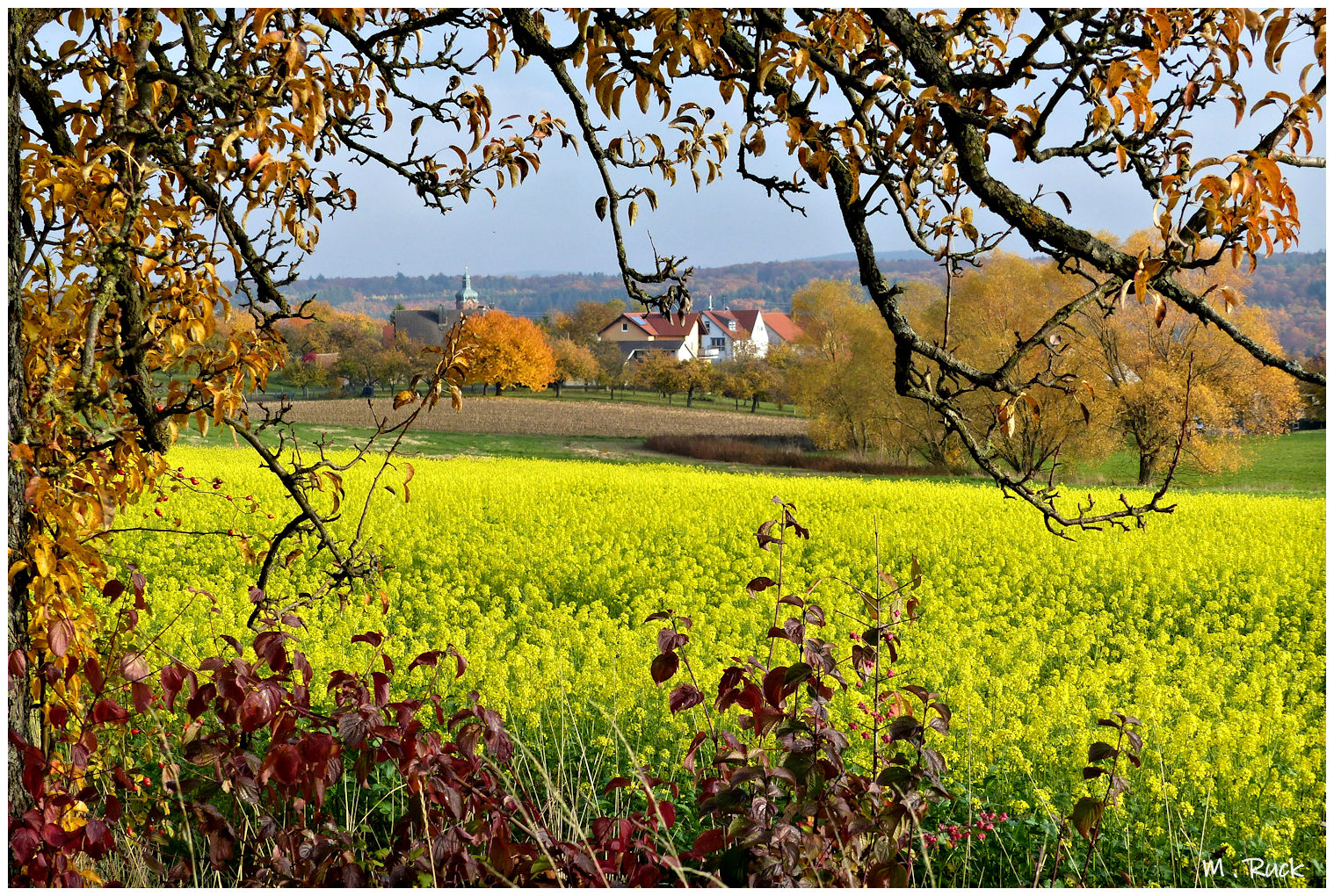 Herbstliches 136.