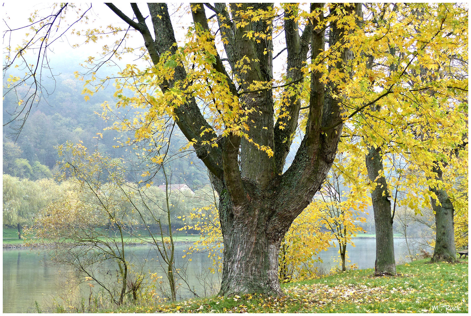 Herbstliches 152.