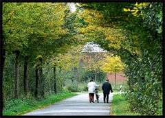 Herbstliches!