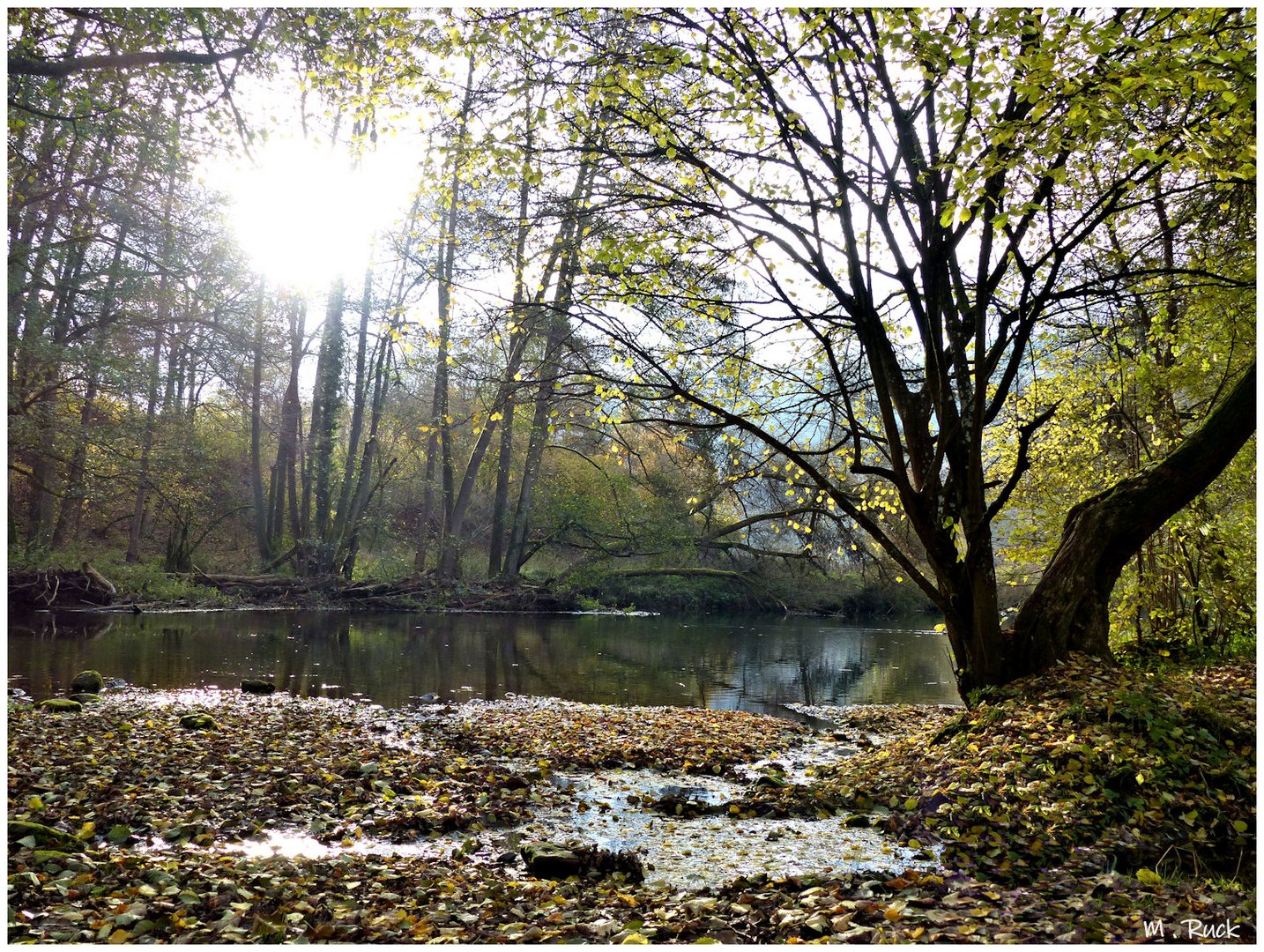 Herbstliches 180.