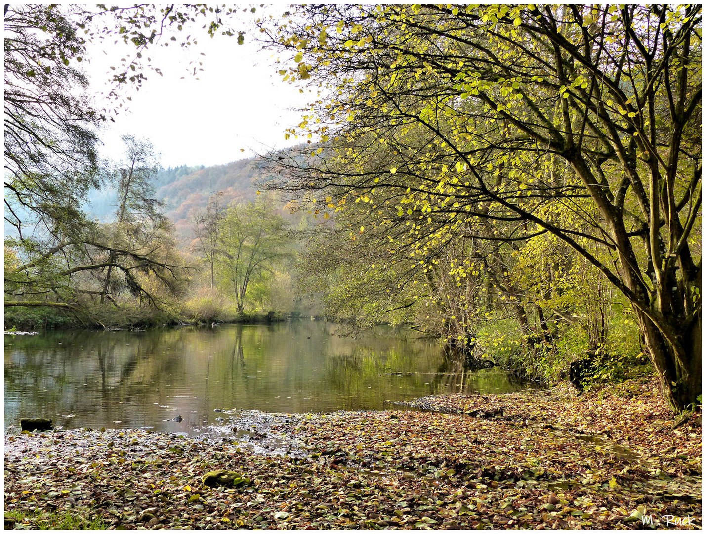 Herbstliches 181.