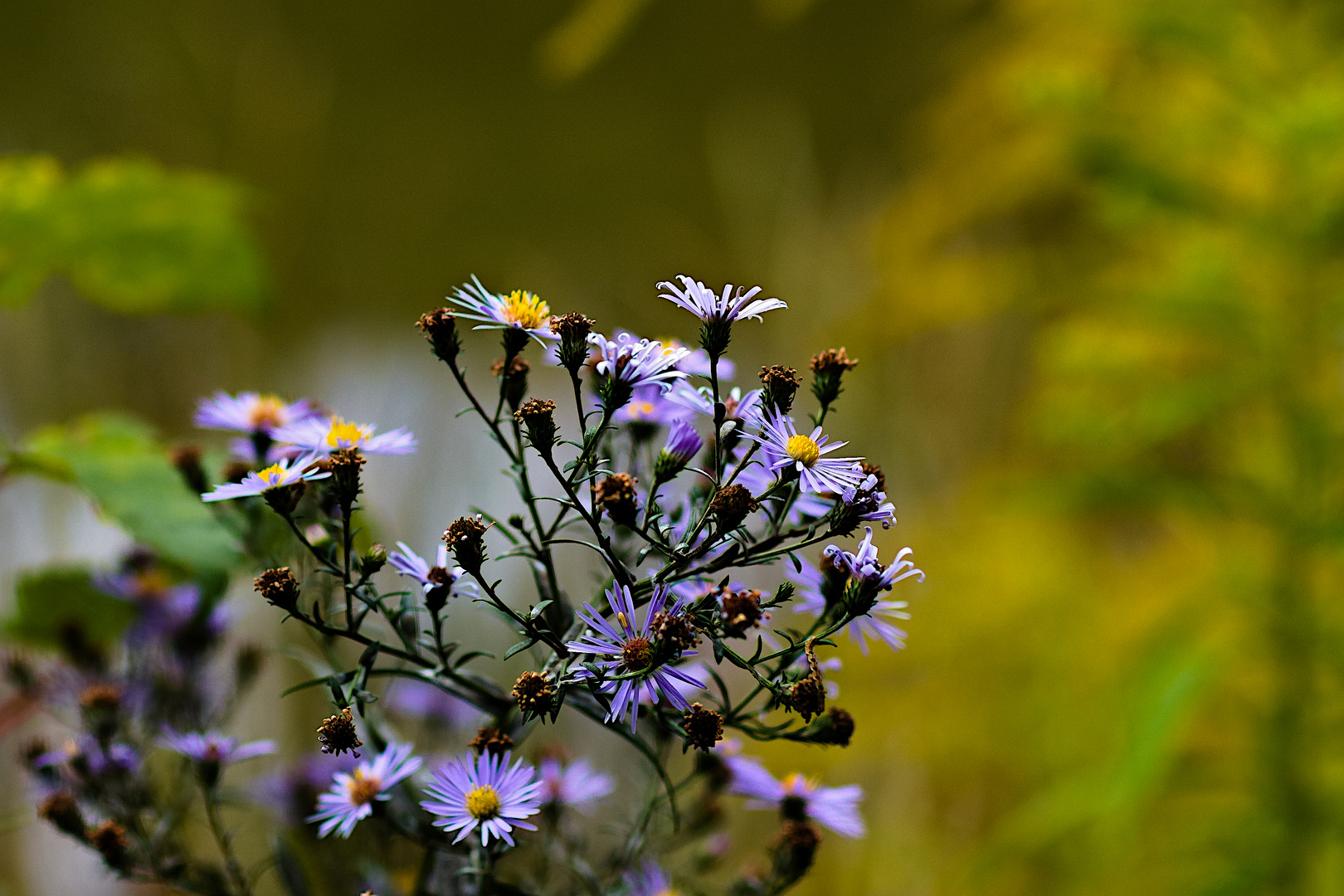 Herbstliches