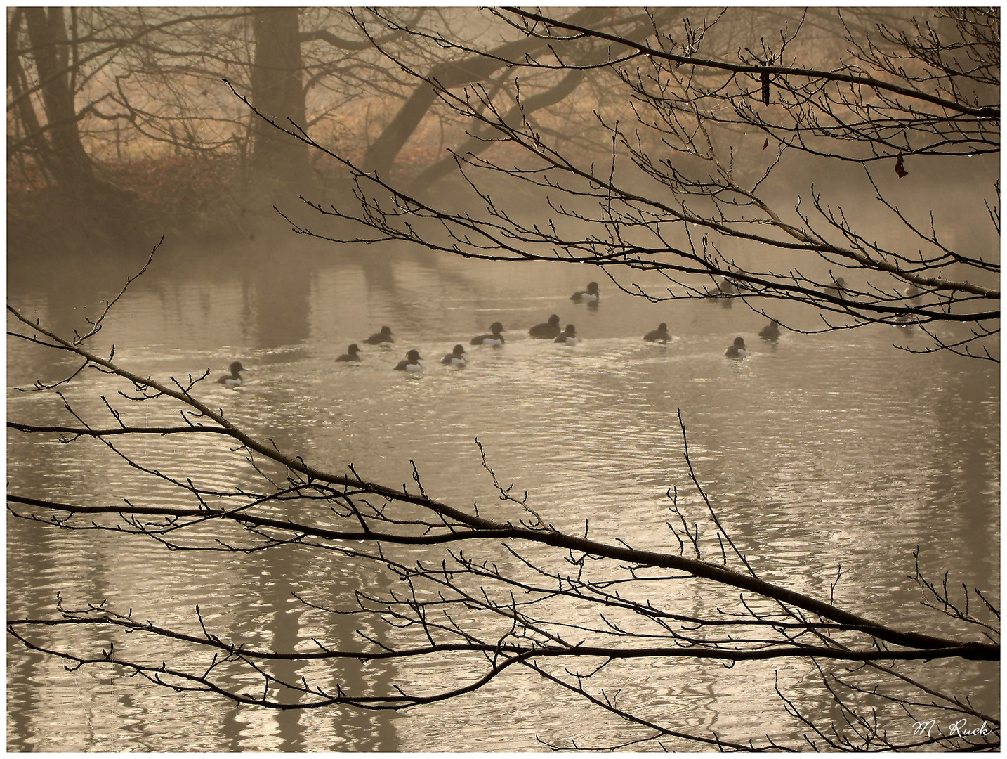 Herbstliches  193