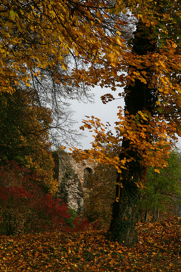 >>>>Herbstliches<<<<