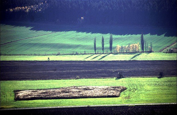 Herbstliches