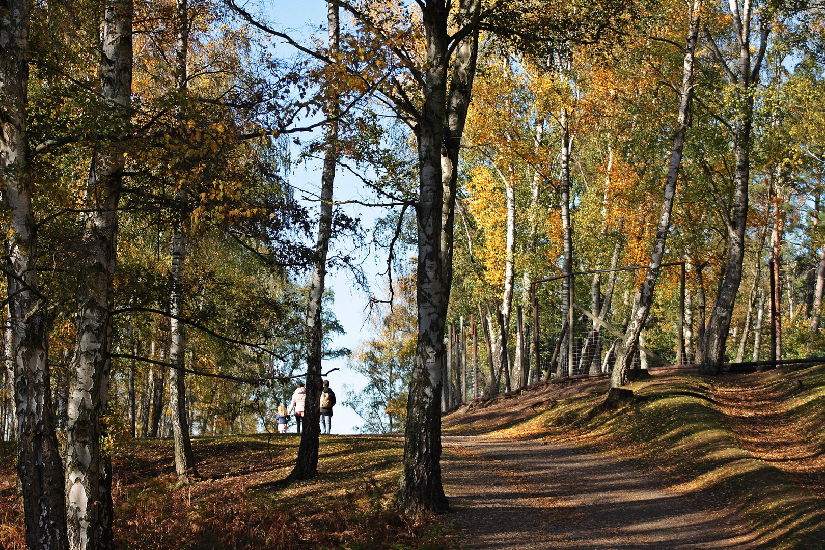 Herbstliches 