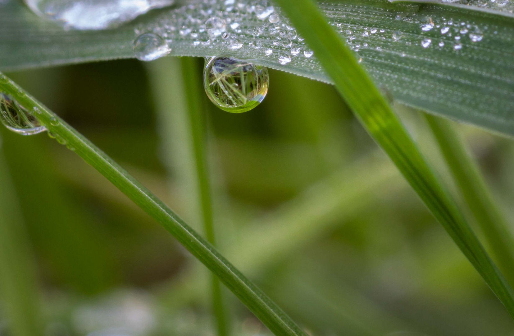 Herbstliches