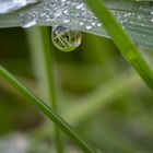 Herbstliches