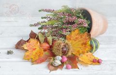 Herbstliches 3