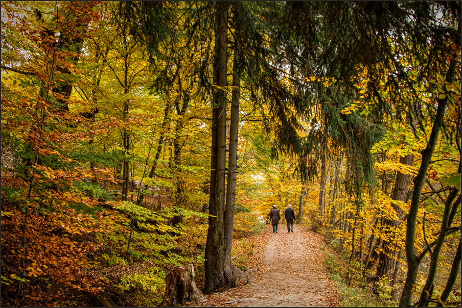 „„ herbstliches „„