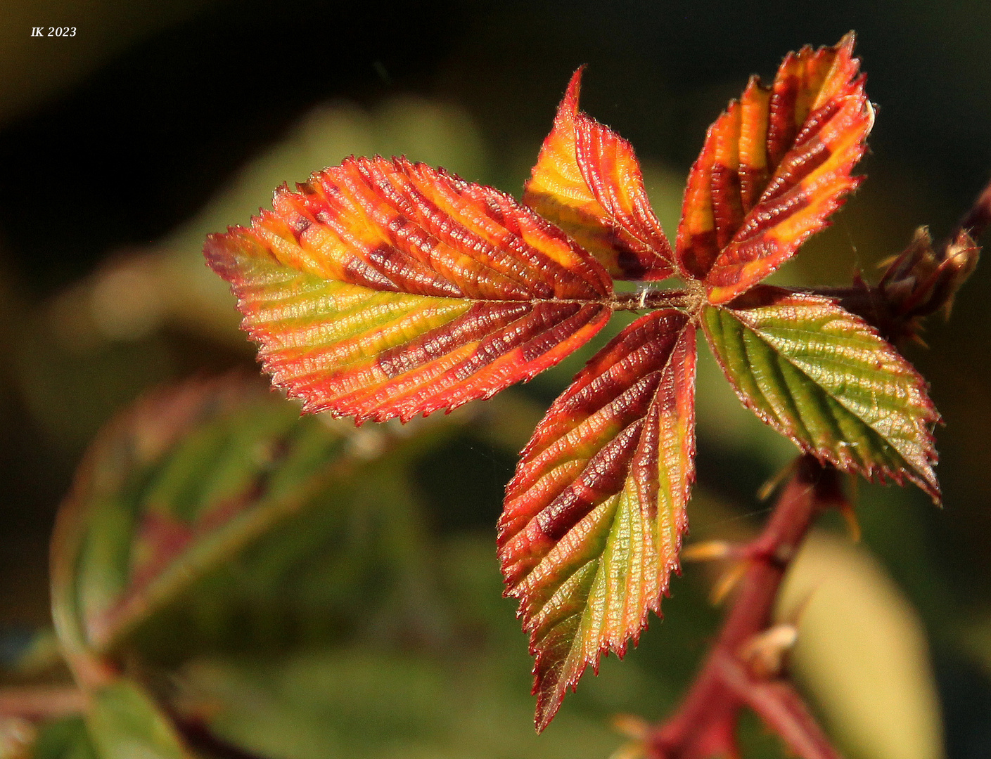 Herbstliches