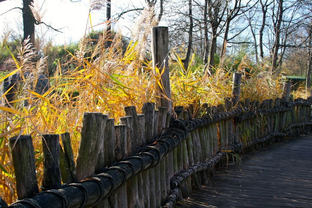 Herbstliches