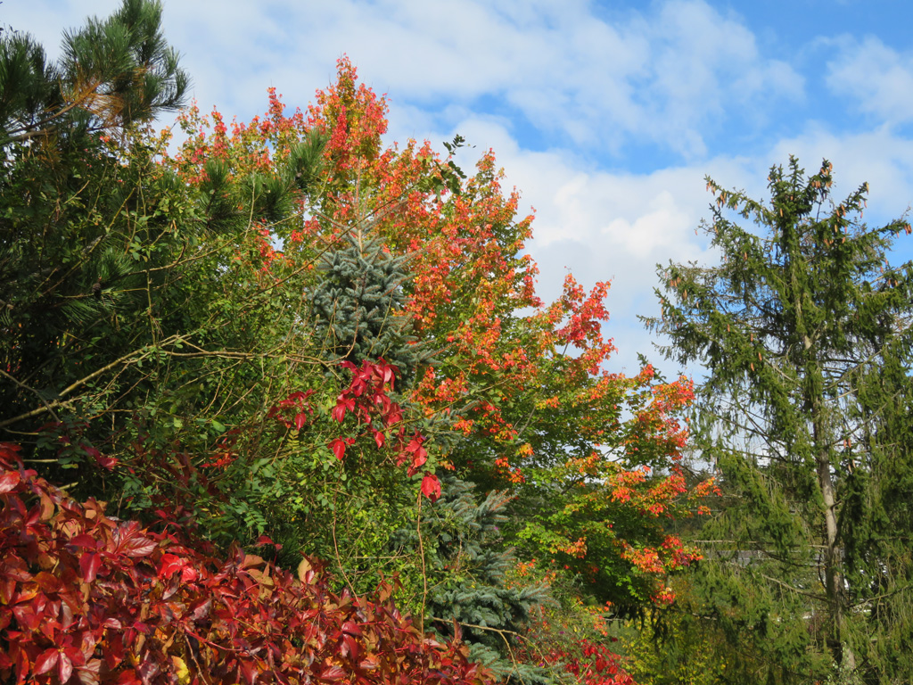 herbstliches