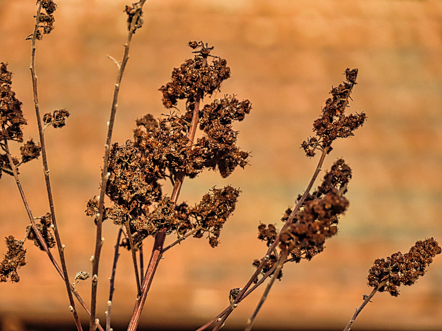 Herbstliches...