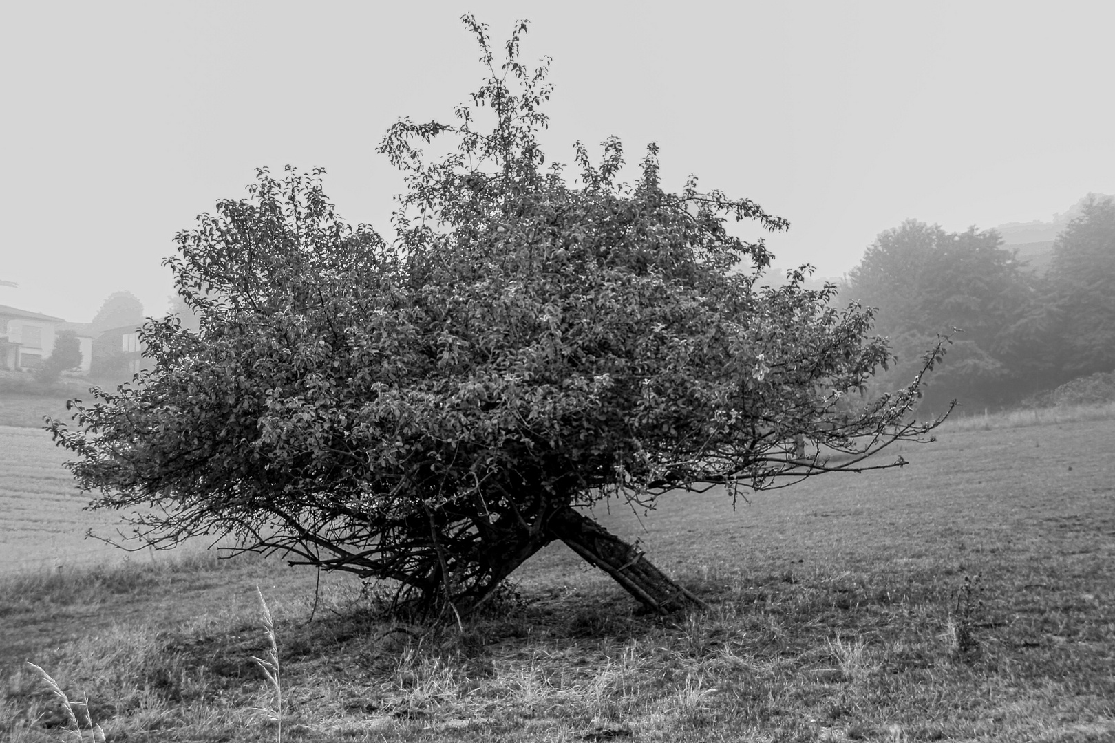 Herbstliches...