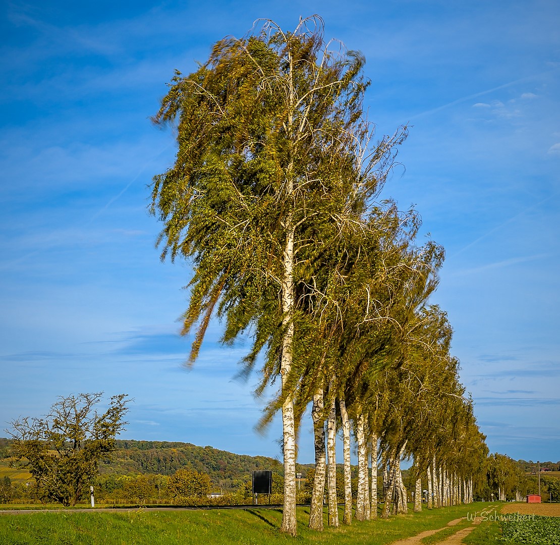 Herbstliches