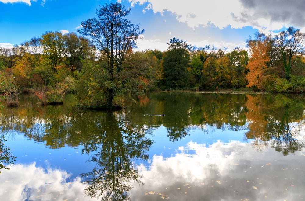 Herbstliches