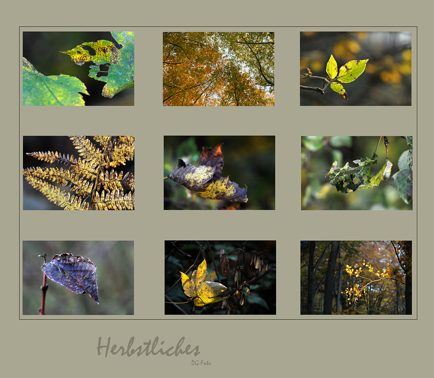 Herbstliches