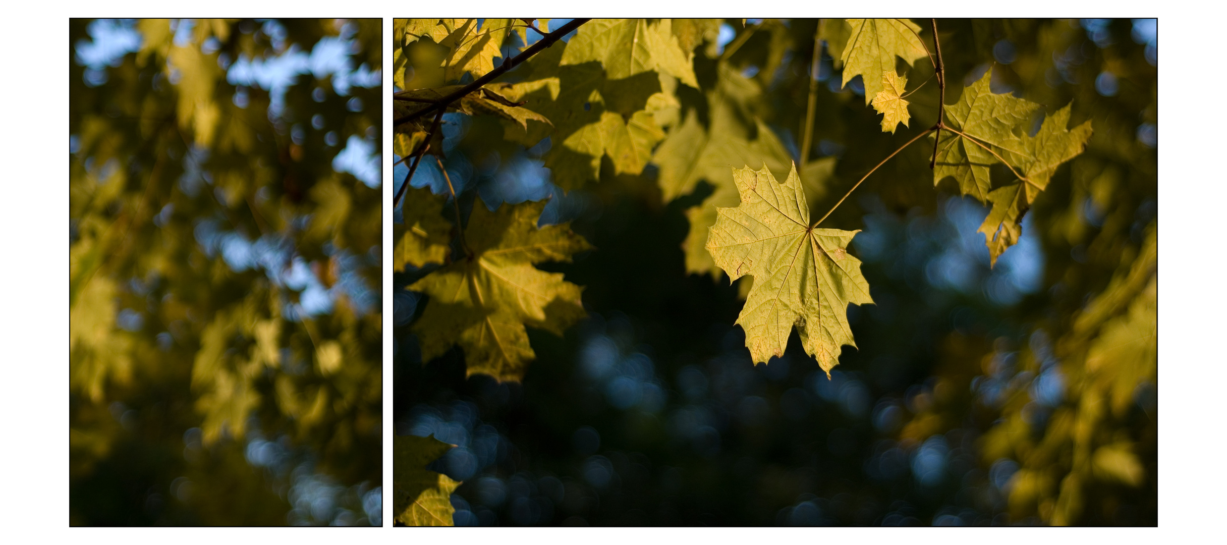 Herbstliches