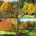 Herbstliches -