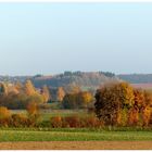 Herbstliches  96