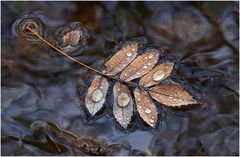 Herbstliches ...