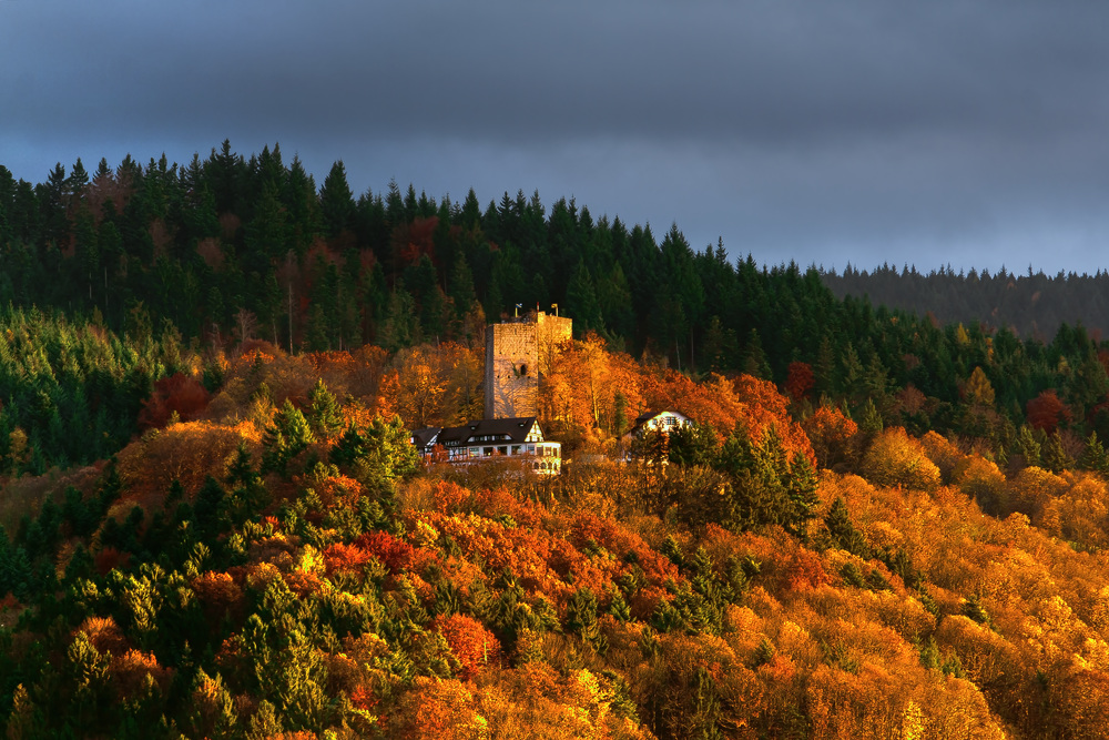 Herbstliches Abendglühen im Schwarzwald