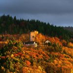 Herbstliches Abendglühen im Schwarzwald