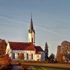 Herbstliches Abendlicht