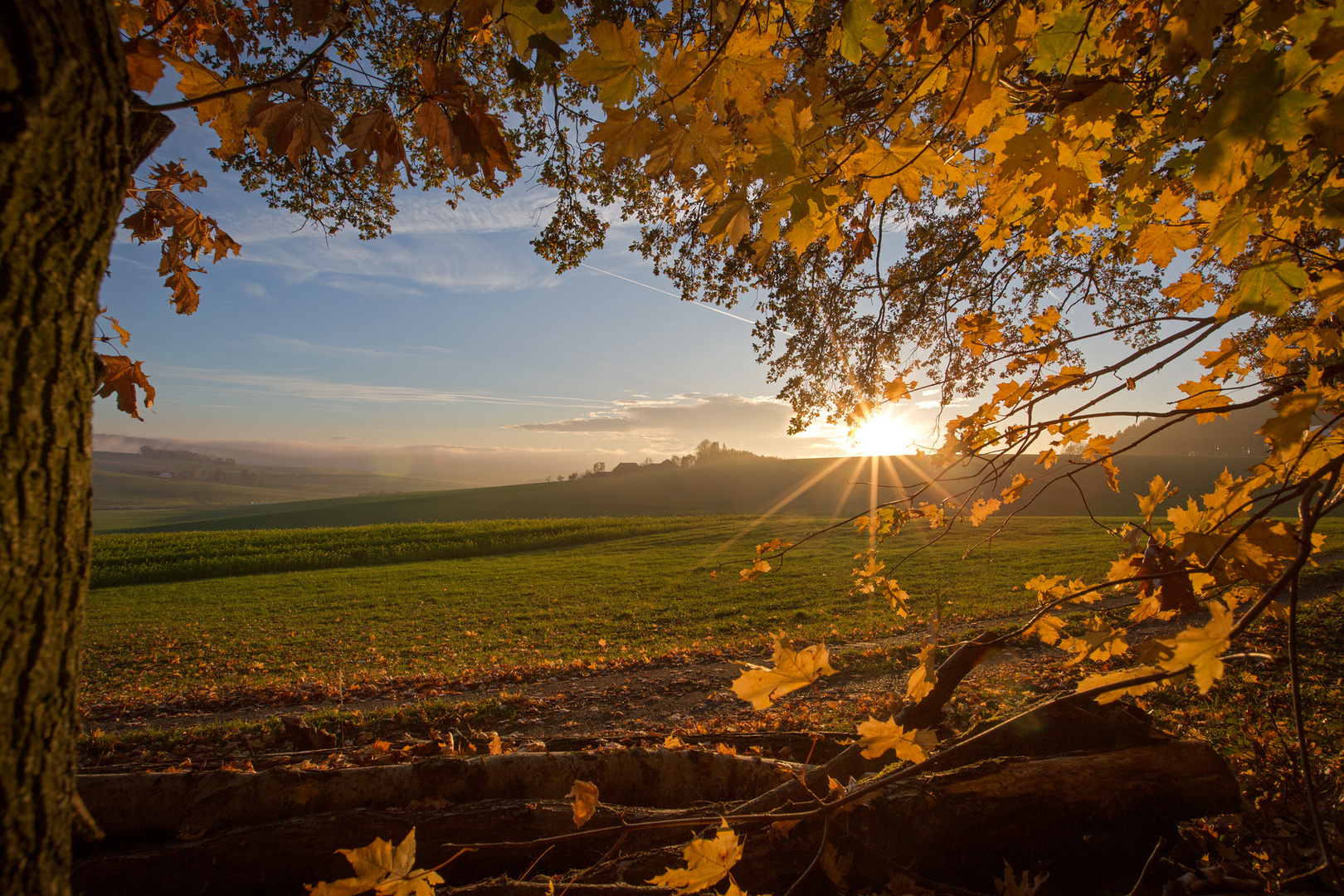 herbstliches Abendlicht