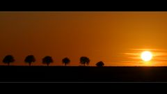 Herbstliches Abendrot