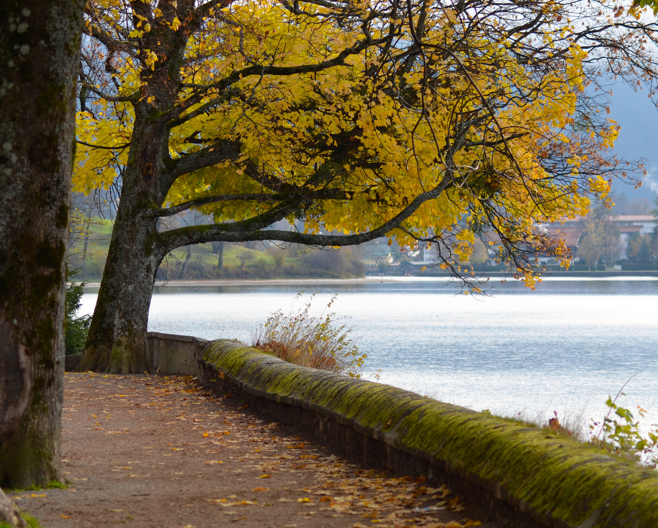 herbstliches ...