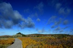 Herbstliches