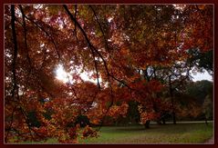 Herbstliches....