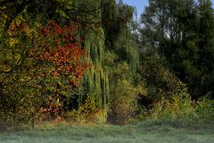 Herbstliches Allerlei