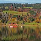 Herbstliches Allgäu, heute gespiegelt