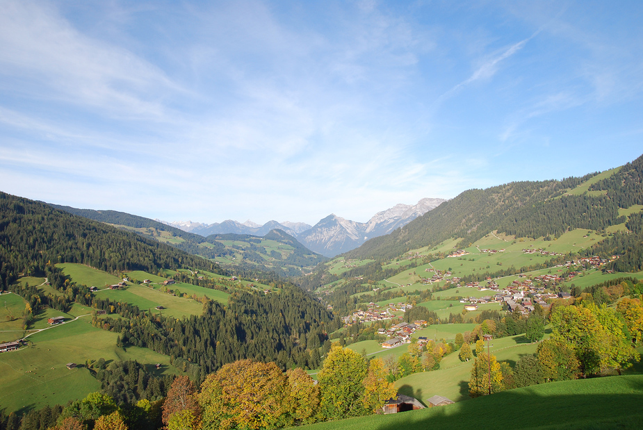 Herbstliches Alpbachtal