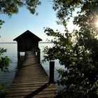 Herbstliches am Ammersee