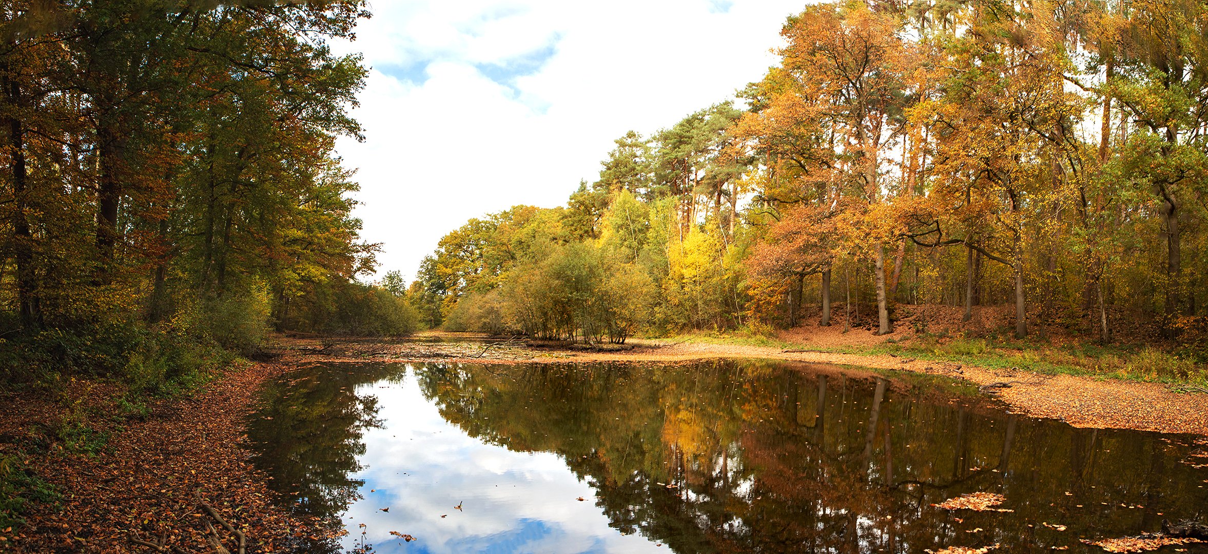 Herbstliches am kleinen Teich Foto & Bild landschaft, jahreszeiten