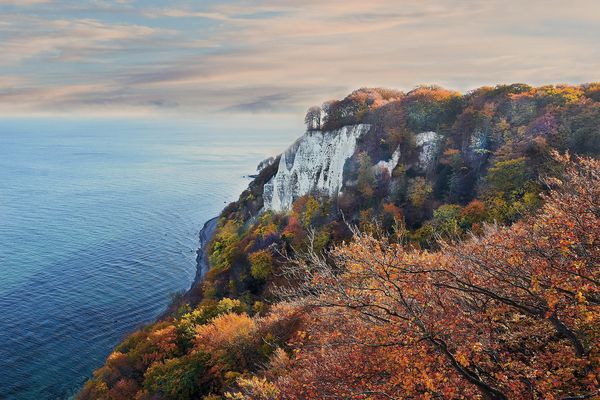 Herbstliches am Königsstuhl....