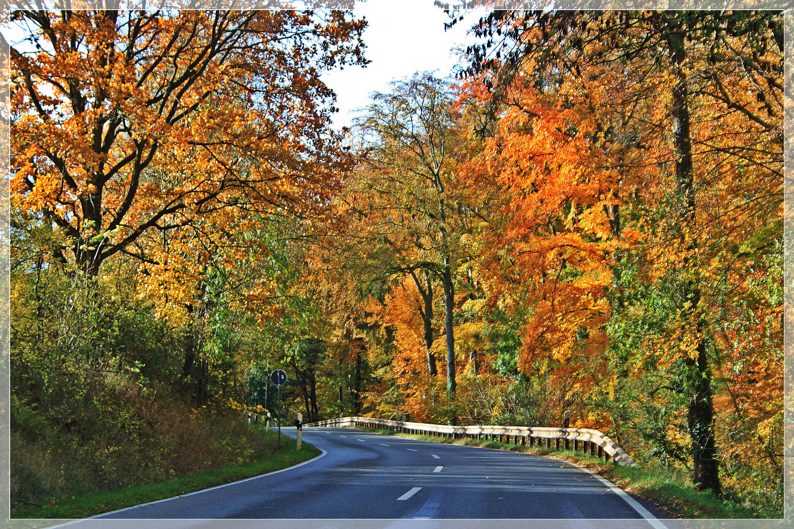 Herbstliches am Rande 2