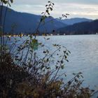 Herbstliches am Tegernsee