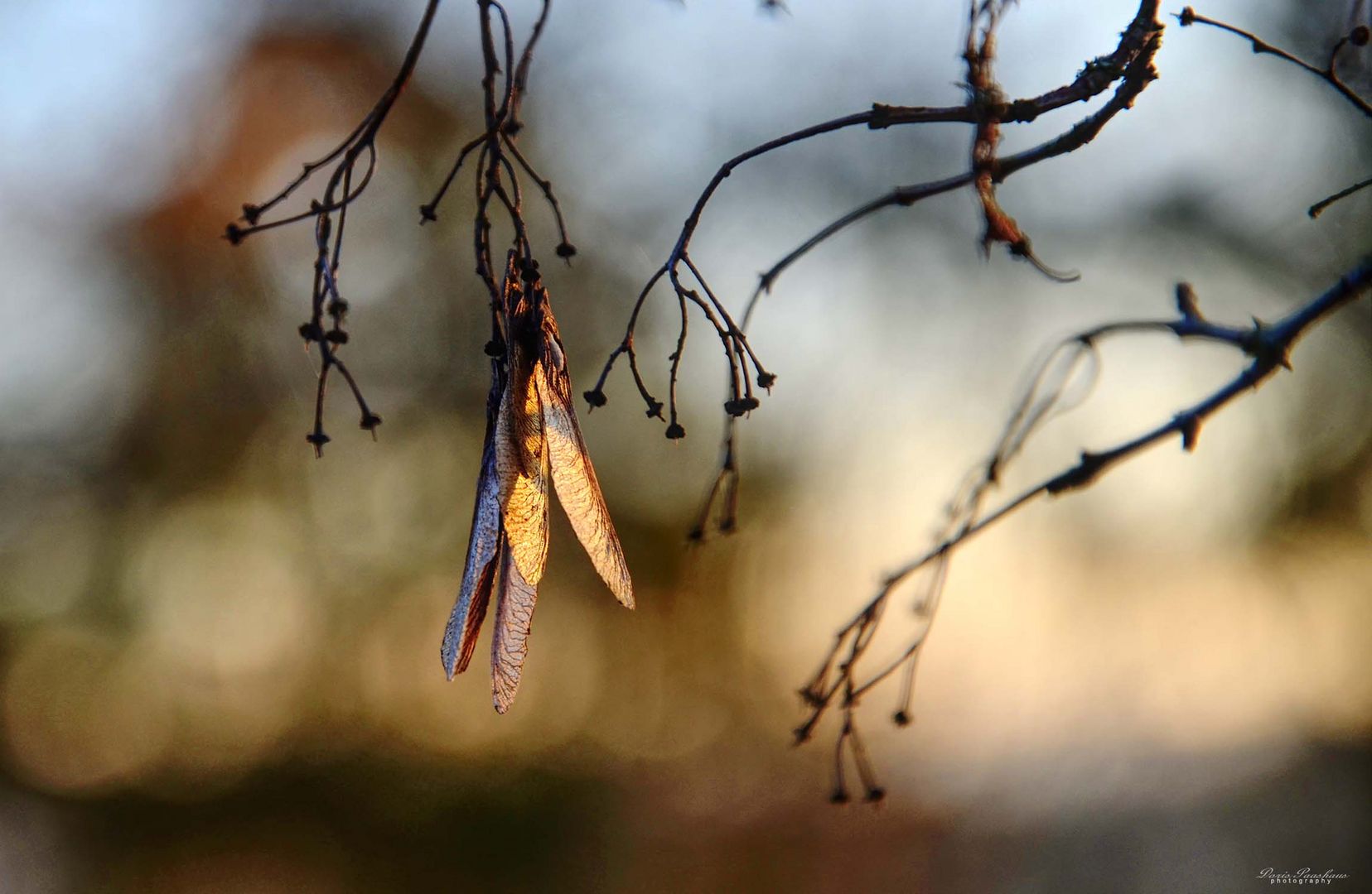 Herbstliches Ambiente