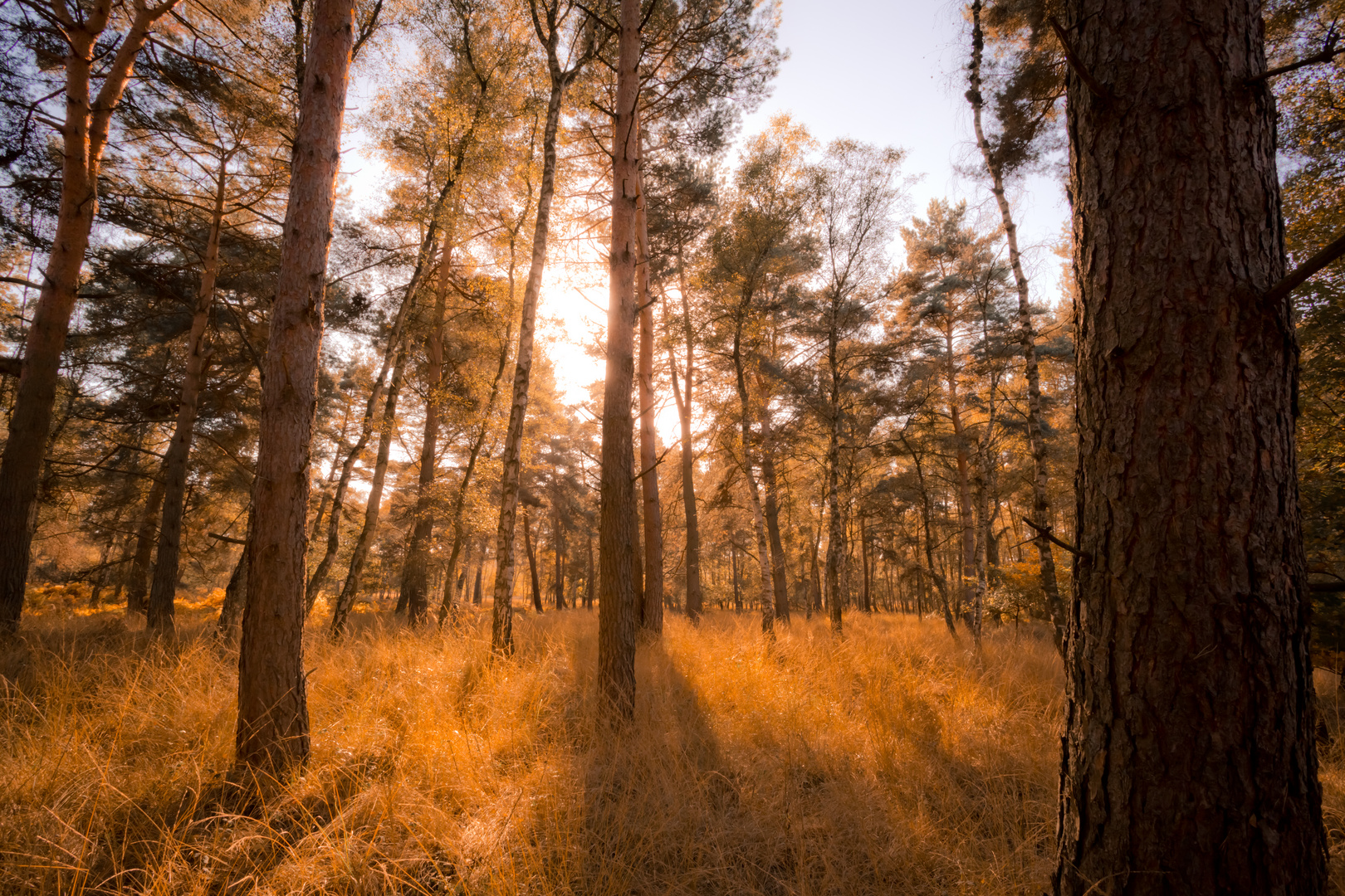 Herbstliches Ambiente