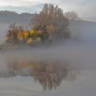 Herbstliches an der Ruhr....