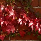 Herbstliches an einem goldenen Oktobertag