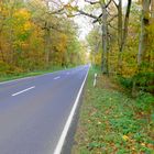 Herbstliches an einer Landstraße