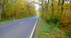 Herbstliches an einer Landstraße